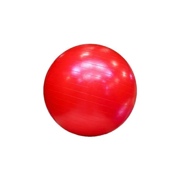 PELOTA ESFERODINÁMIA 55cm ROJO (PT)