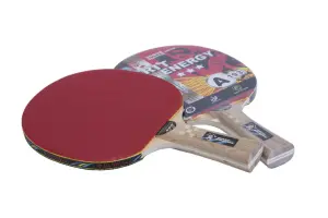 PALETA PING PONG GIANT DRAGON SPIRIT ENERGY 3 ESTRELLAS