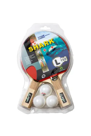 SET DE 2 PALETAS DE PING PONG C/ 3 PELOTAS GIANT DRAGON 2 ESTRELLAS